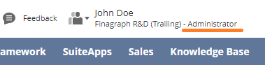 Screenshot of NetSuite Role